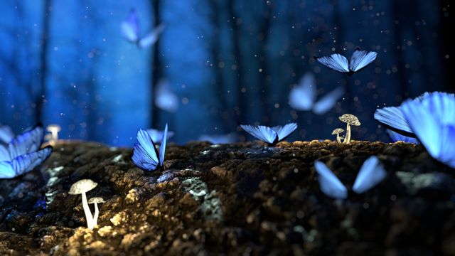 Butterfly Garden