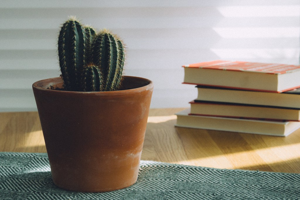 Golden Cactus